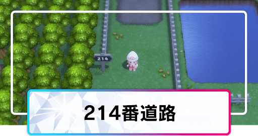 214番道路_マップ