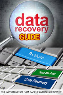 Data Recovery Guide - náhled