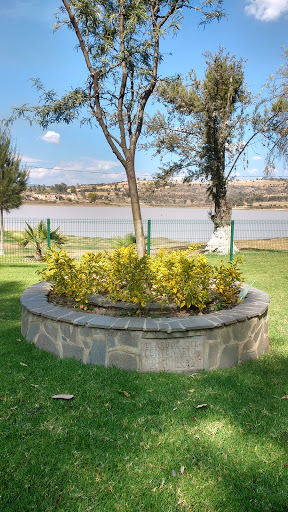 Monumento Arbol Del Centenario De La Presa El Estribon