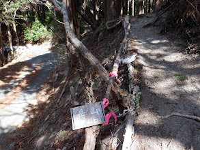 岳山登山口