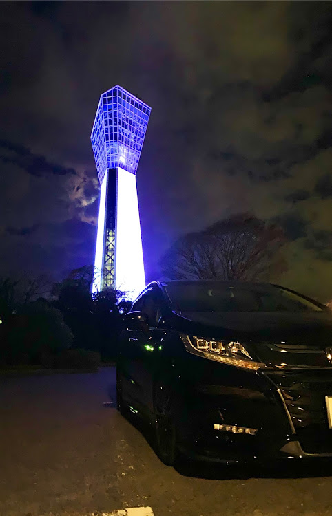 オデッセイのマリンタワーに関するカスタム事例の投稿画像2枚目