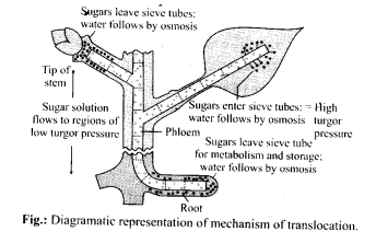 Solution Image