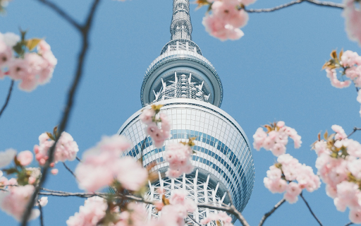 Spring Blossom in Tokyo Preview 2