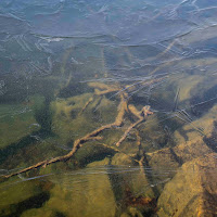 l'acqua al freddo di 