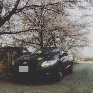 CR-Z ZF1