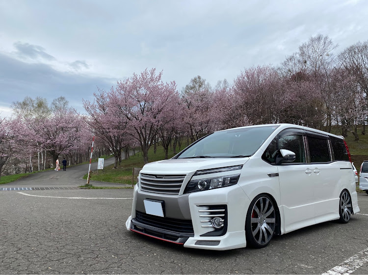 ヴォクシーのこどもの日・GW・サクラと愛車・#ドライブ・#北海道に関するカスタム事例の投稿画像4枚目