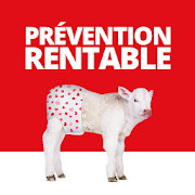 PREVENTION-RENTABLE  Icon