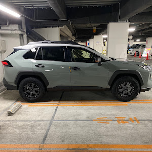 RAV4 MXAA54