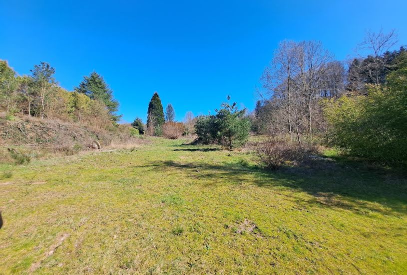  Vente Terrain à bâtir - 14 876m² à Les Forges (88390) 