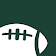 NY Jets Football icon