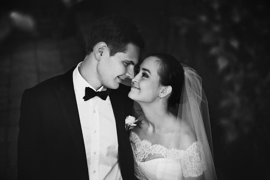 Весільний фотограф Elizaveta Kovaleva (weddingingerman). Фотографія від 3 листопада 2013