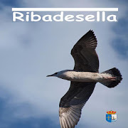 Ribadesella Guía de Visita 2.05 Icon