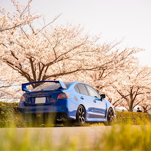 WRX STI