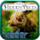 Download Hidden Pieces: Easter Playtime For PC Windows and Mac 1.0.0