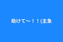 助けて〜！！(至急