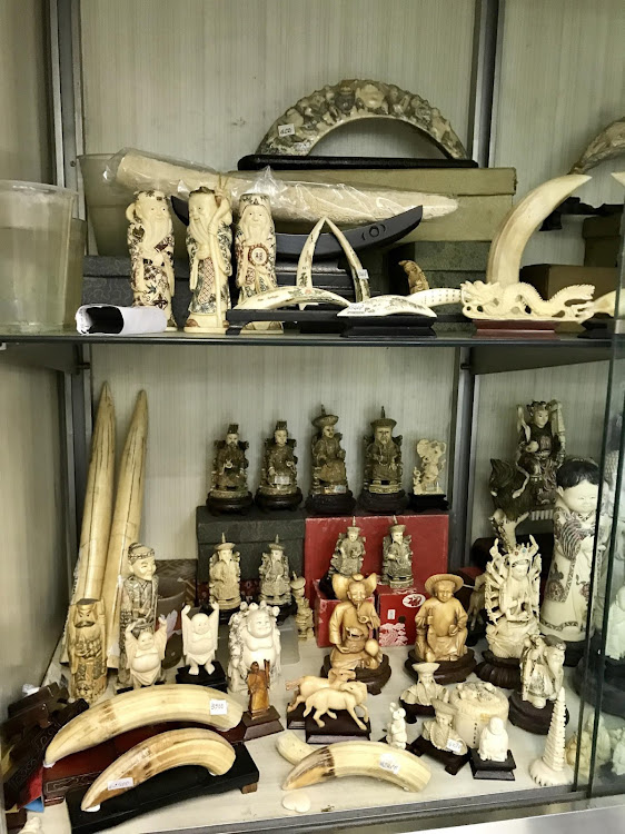 Hippo teeth products for sale in an ivory shop in Sheung Wan, Hong Kong.