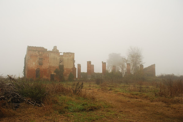 Nella nebbia di ToovTiliev