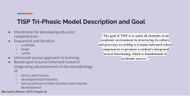TISP Tri-Phasic Description Goal