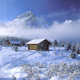 Winter Snow Wallpaper New Tab Theme[Install]