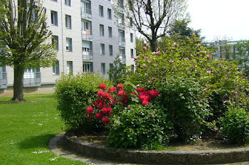 appartement à Bonsecours (76)