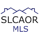 SLCAOR Download on Windows