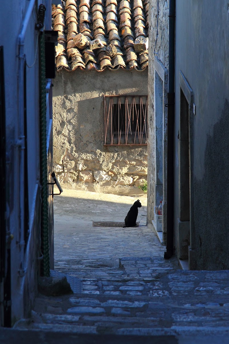 il guardiano del vicoletto di rino_savastano