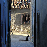 il guardiano del vicoletto di 