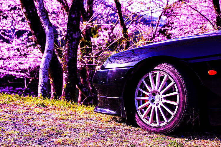 GTVの霞間ヶ渓・岐阜県・桜と愛車・桜・イタリア車に関するカスタム事例の投稿画像28枚目