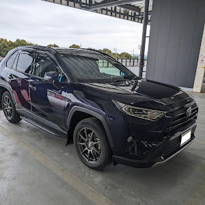 RAV4 AXAH54