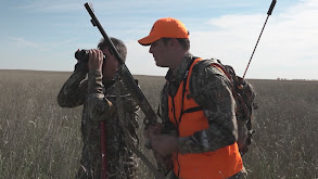 Massive Mule Deer thumbnail