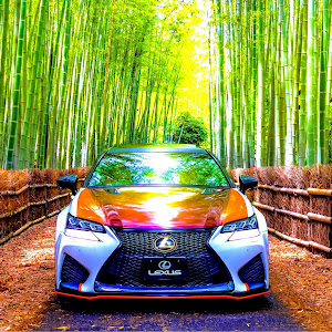GS GWL10