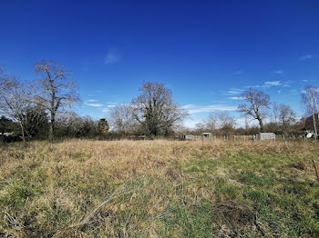 terrain à Ledeuix (64)