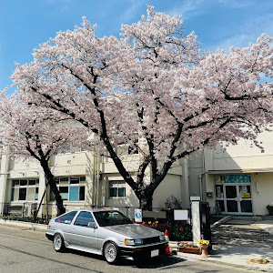 カローラレビン AE86