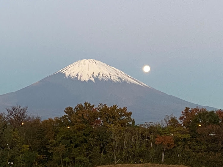 の投稿画像2枚目