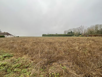 terrain à Villemereuil (10)