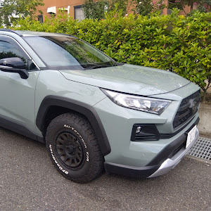 RAV4 MXAA54