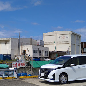 セレナ GFC28