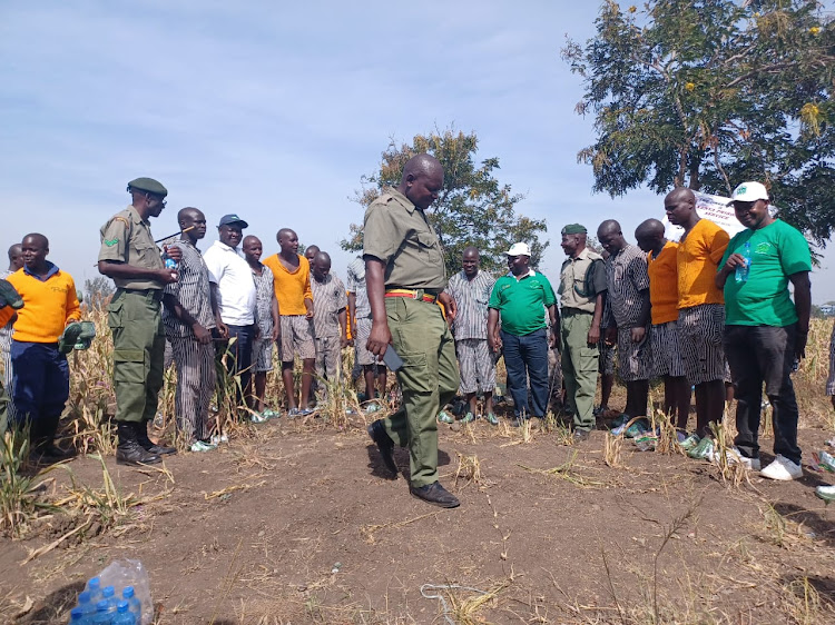 A team including inmates, Green World organisation officials and Homa Bay prison wardens who participated in planting and harvesting of sorghum at Homa Bay prison on January 24,2023