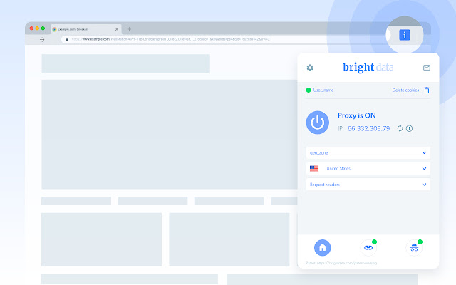 Bright Data: Đánh giá về Proxy, giá và độ bảo mật