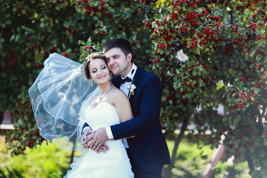 Wedding photographer Svetlana Sokolova (sokolovasvetlana). Photo of 29 September 2014