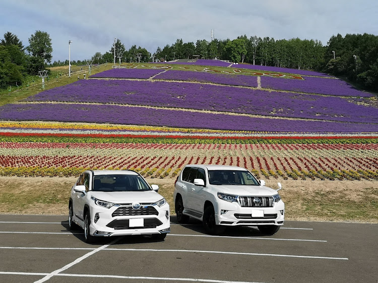 ランドクルーザープラドの北海道・富良野・ラベンダー・rav4・ドライブに関するカスタム事例の投稿画像2枚目