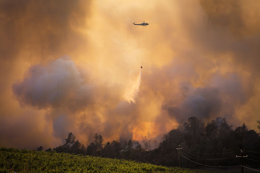 Damages from the emissions are estimated to be close to $99 million for California and about $987 million for the US, the researchers said.