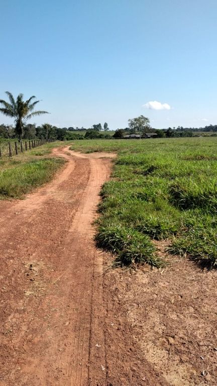 Fazendas à venda Zona Rural