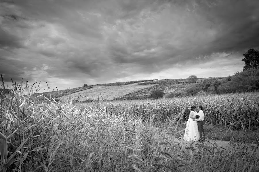 Vestuvių fotografas Tanja Dammert (dammert). Nuotrauka 2015 rugpjūčio 19