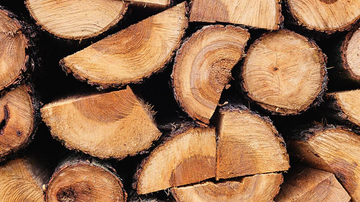 Low Sap and Moisture Content