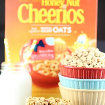 10 Best Honey Nut Cheerios Recipes