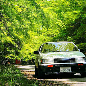 カローラレビン AE86