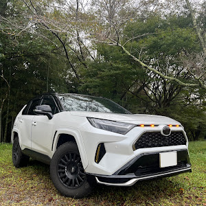 RAV4 AXAP54