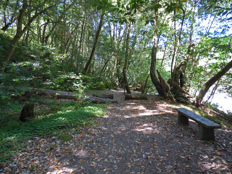 Riverview Trail, Loeb State Park