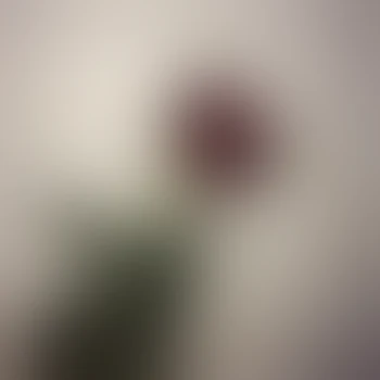 お嬢様はモテ期到来。